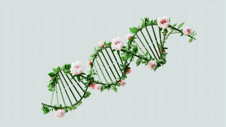 A DNA strand with flowers and leaves attached to the length of it.